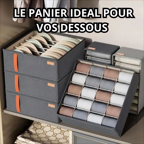 Panier Pour Ranger Sous-Vêtements Gris